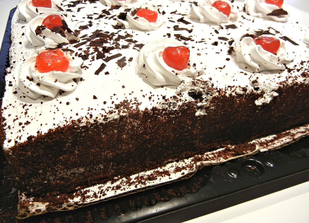 black forest cake cherries chocolate free photo