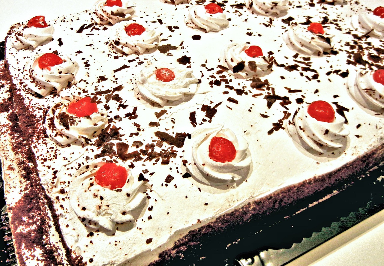 black forest cake cherries chocolate free photo