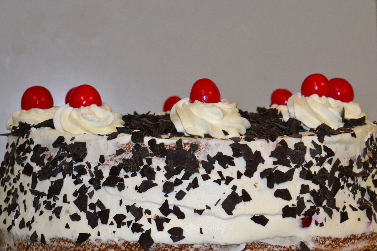 black forest pie cake cream cake free photo