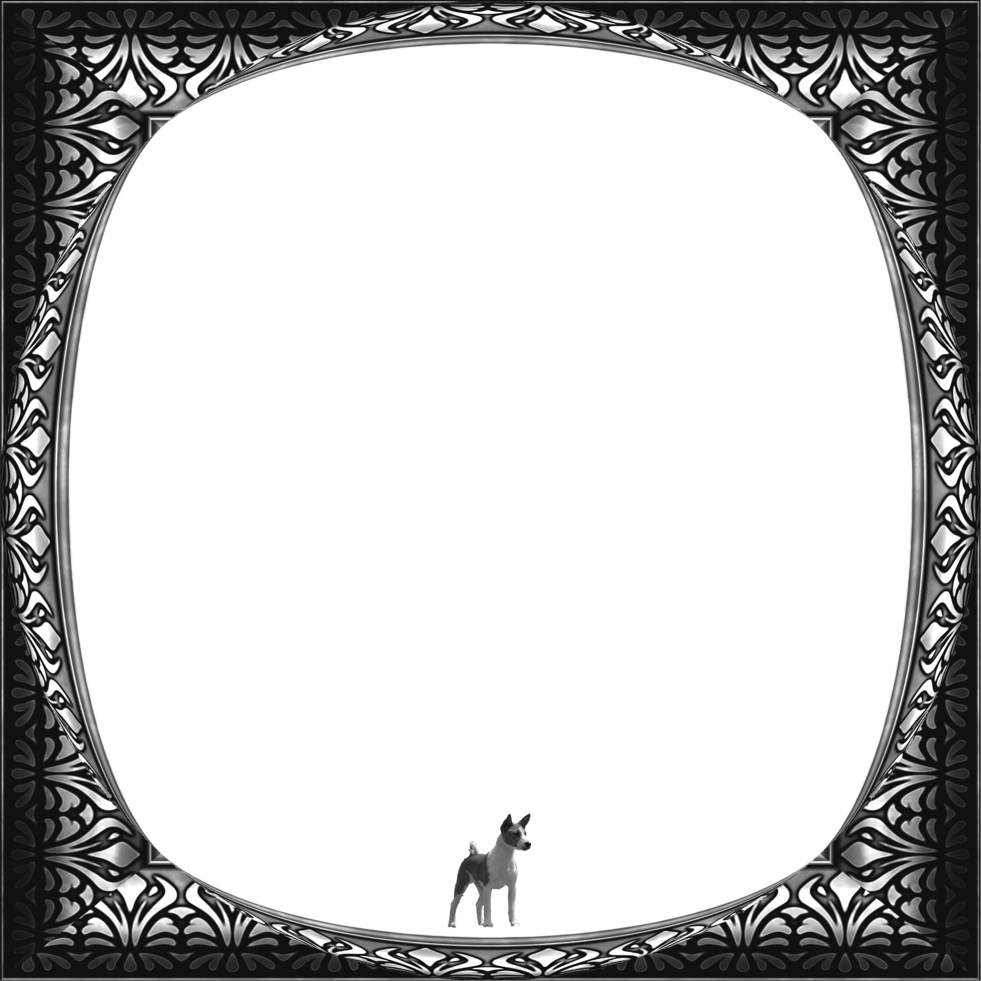 frame black decorative free photo