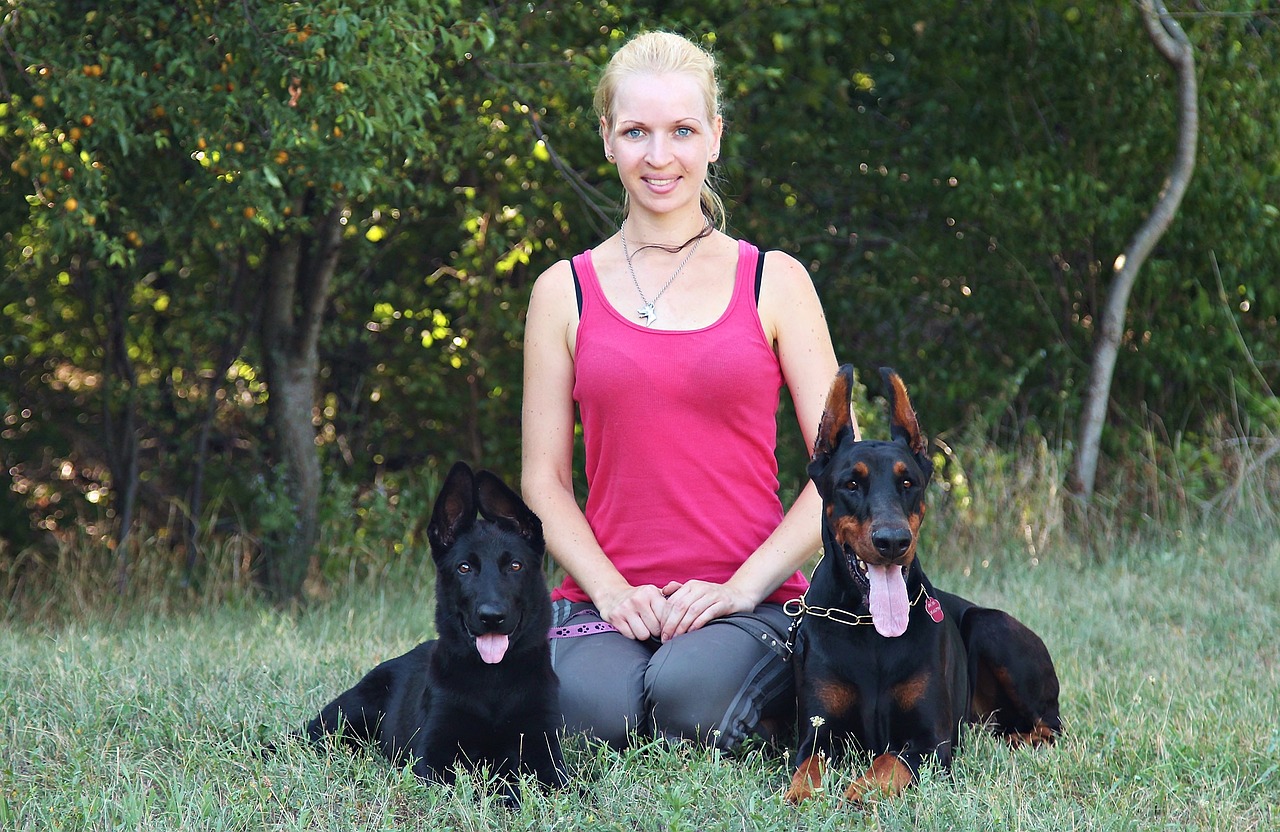 black german shepherd doberman blonde woman free photo