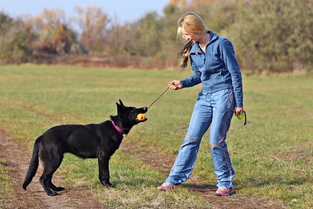 black german shepherd blonde woman love free photo