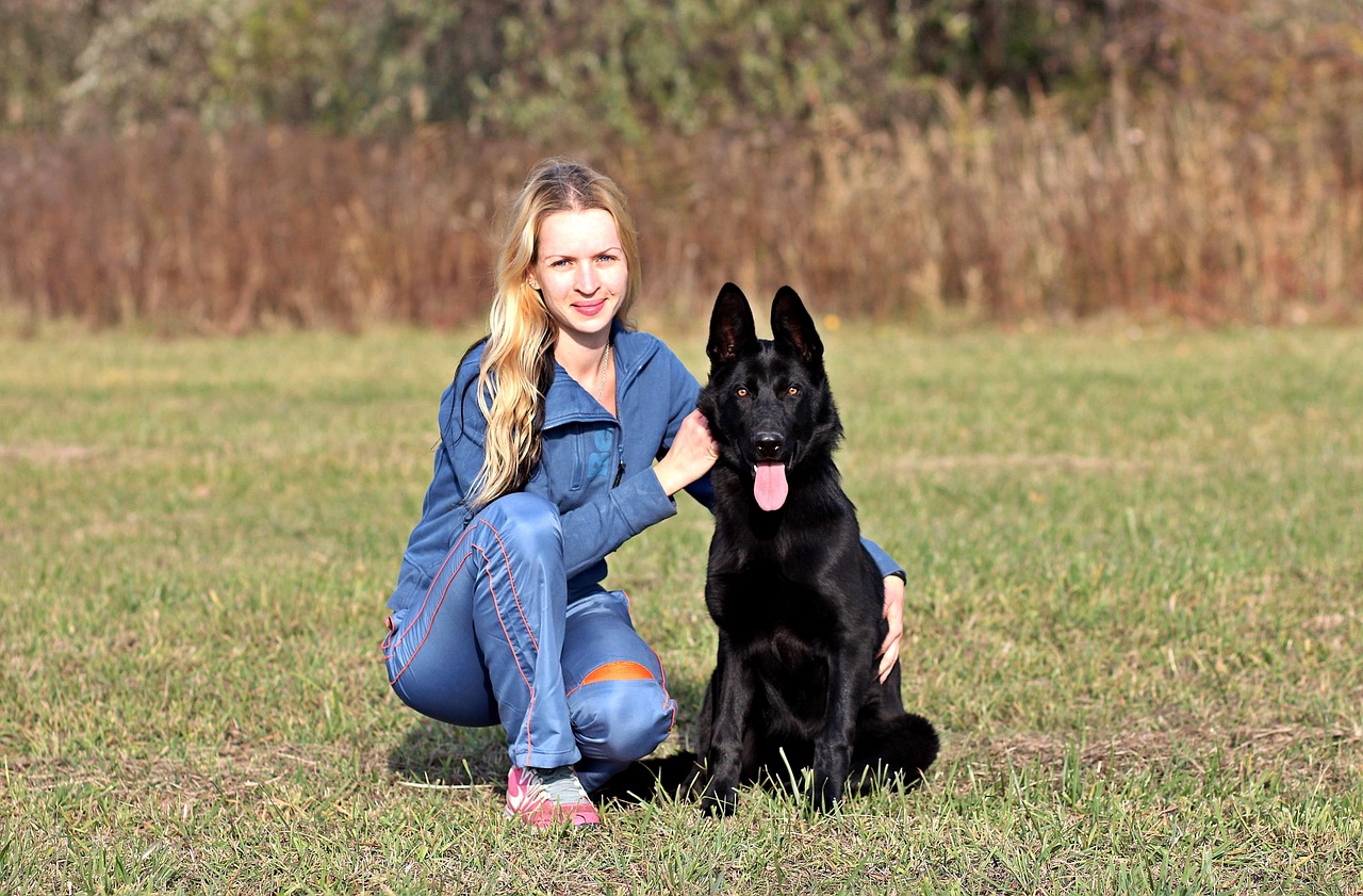 are black german shepherds smaller