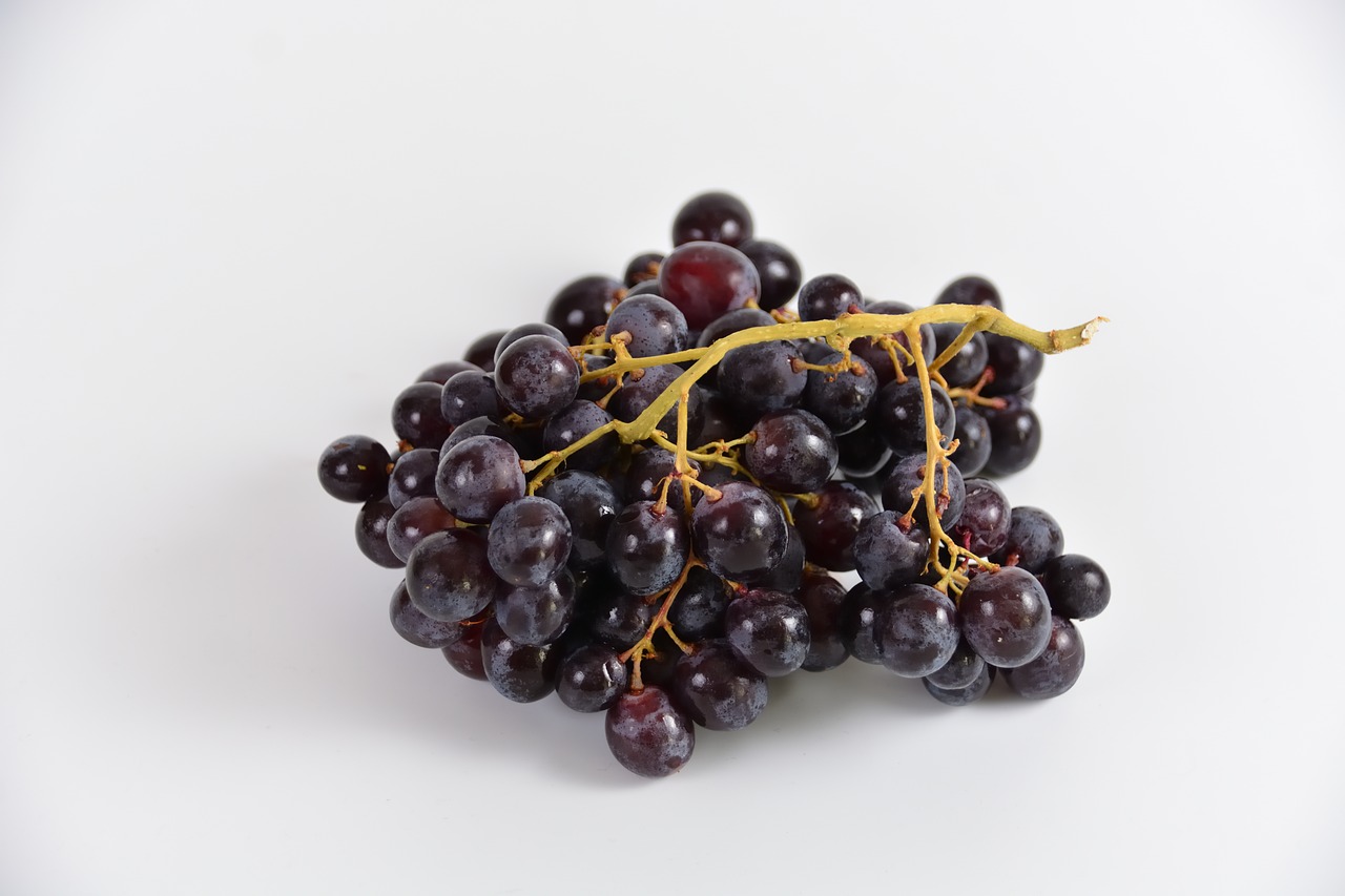 black grapes power fruit free photo