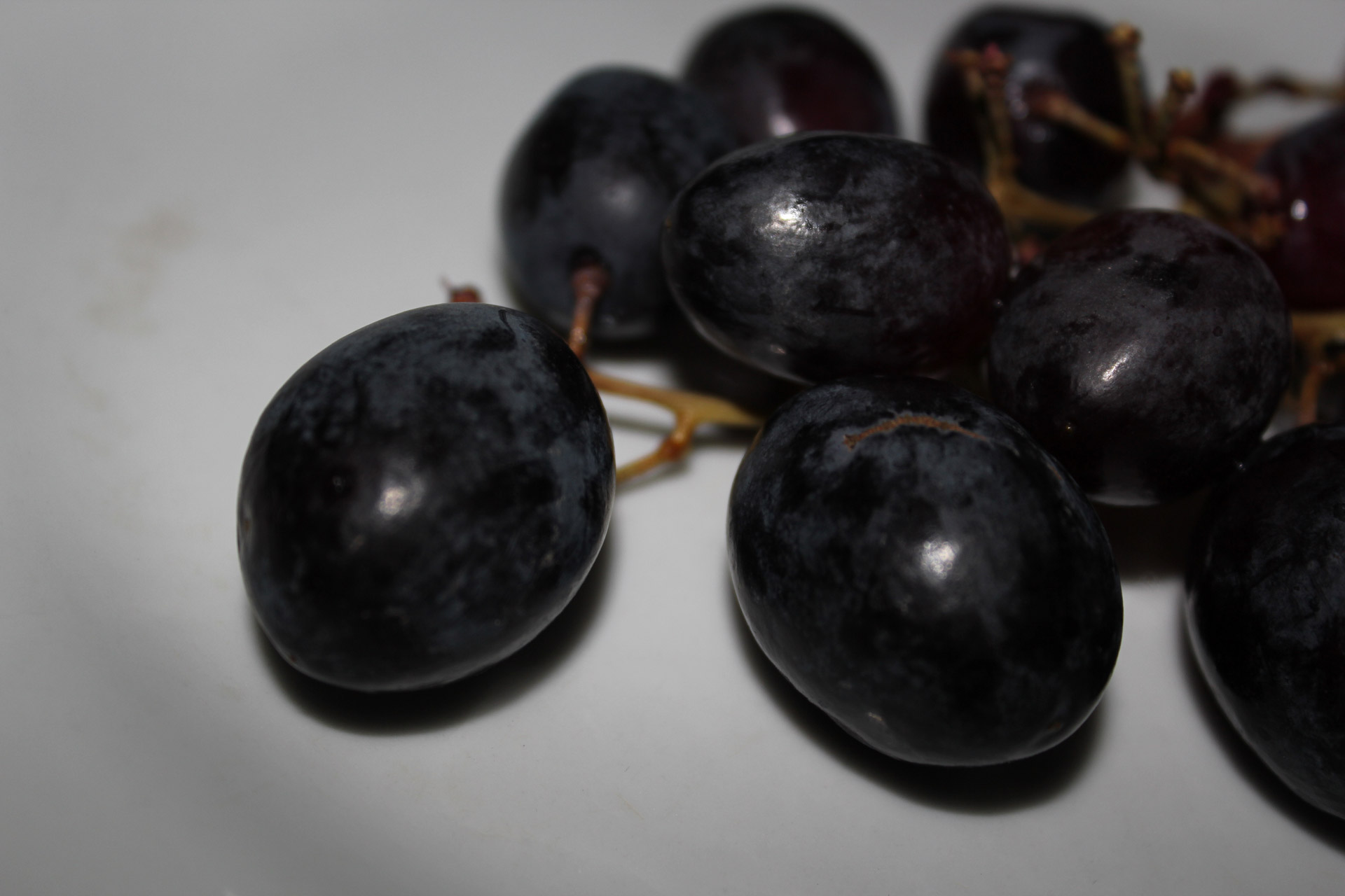 black grapes fruits food free photo