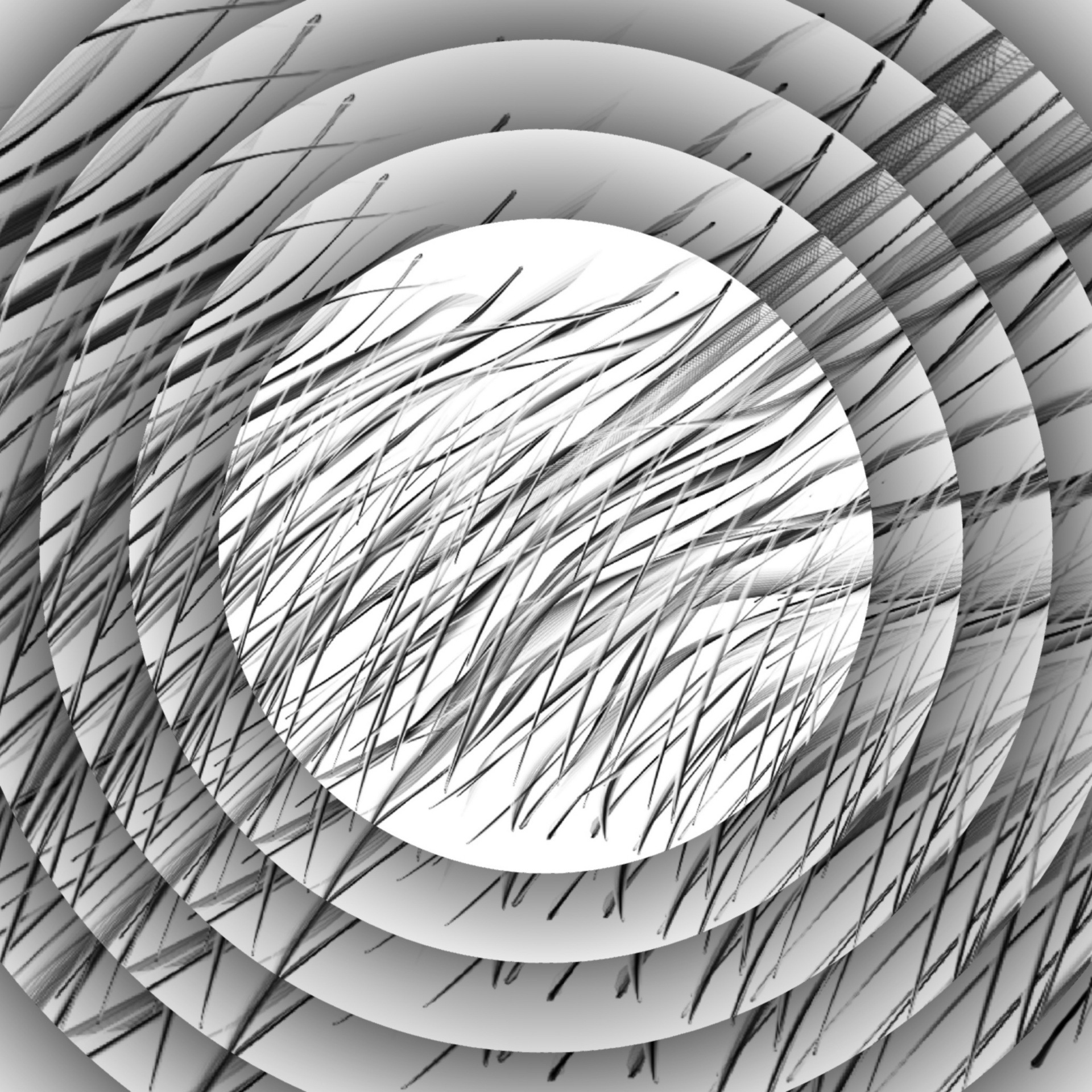 wallpaper grey concentric free photo