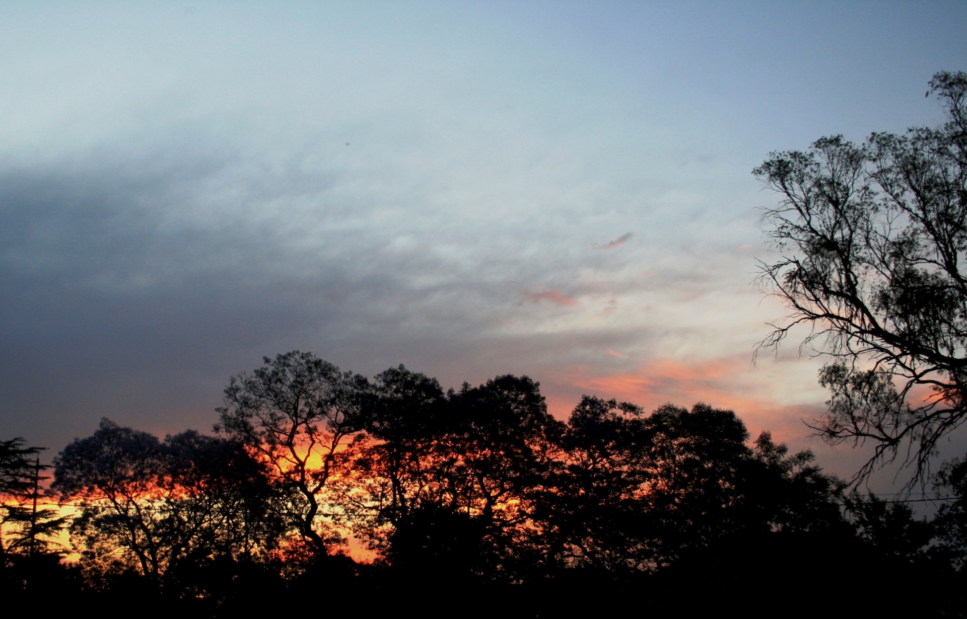 sunset gold orange free photo