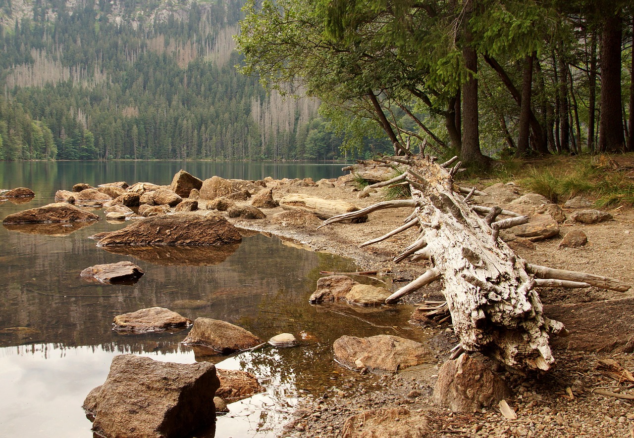 black lake lake water free photo