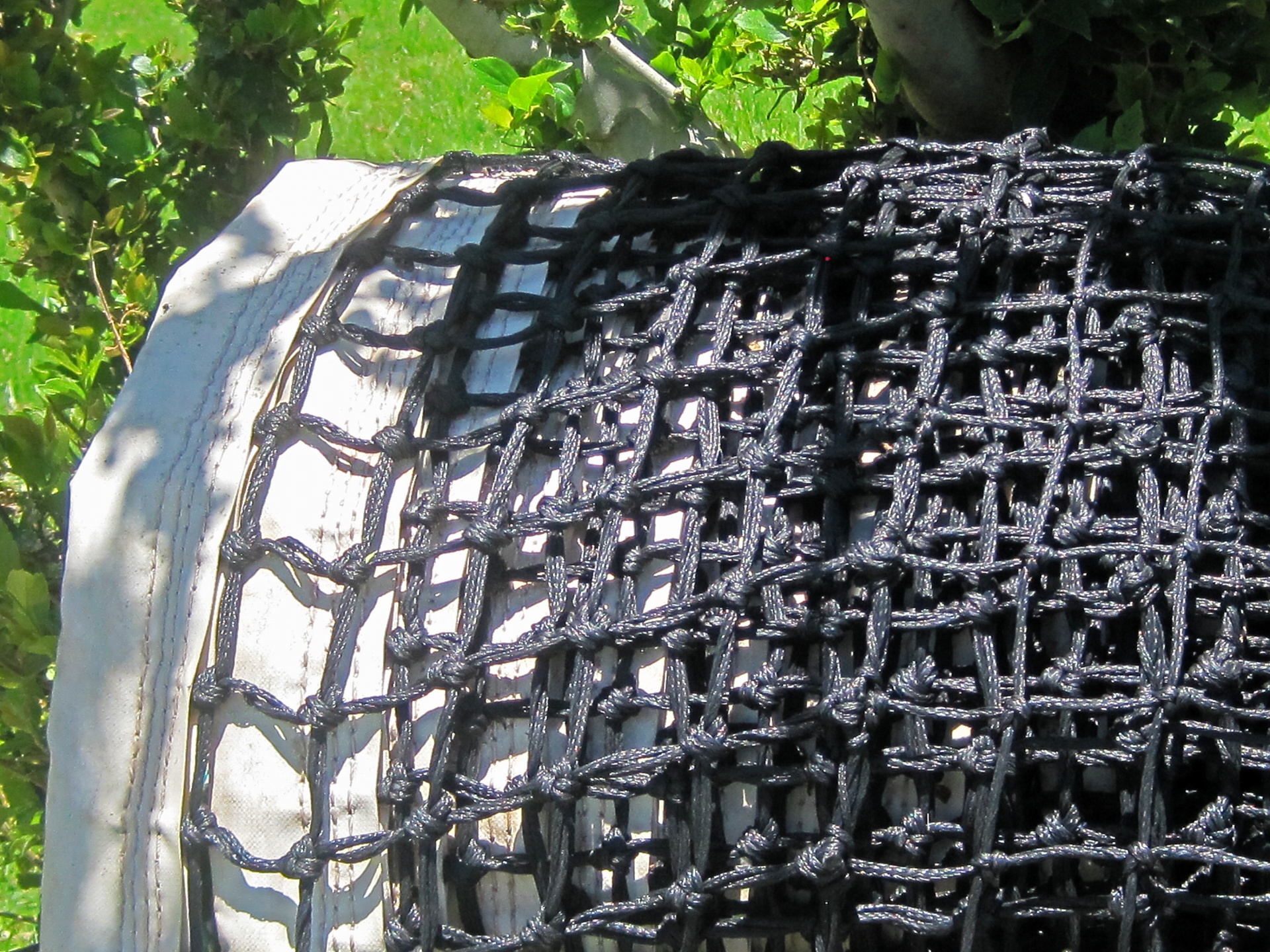 mesh netting black free photo