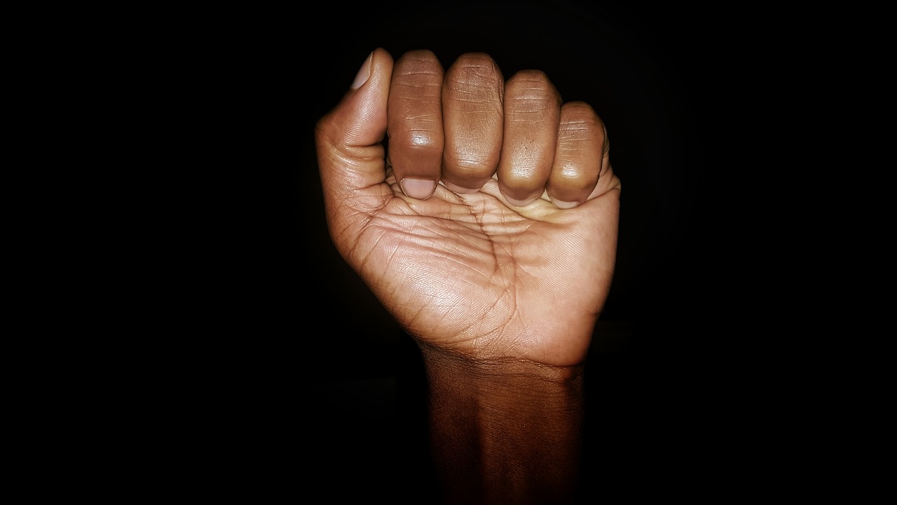 black power black fist fist free photo