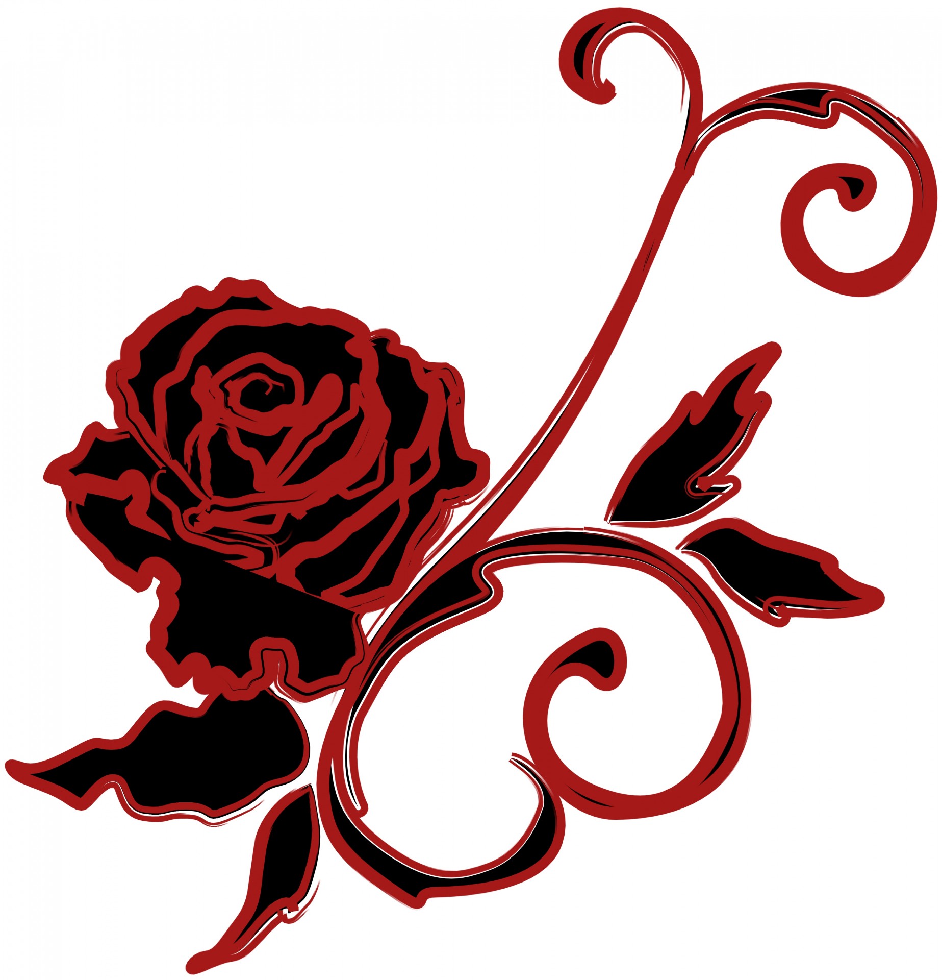 Rose Drawing Black Red Isolated Free Image From Needpix Com