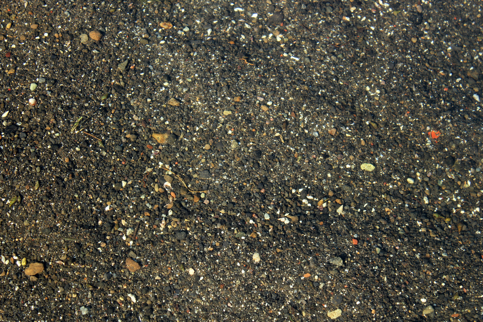 sand black sand background free photo