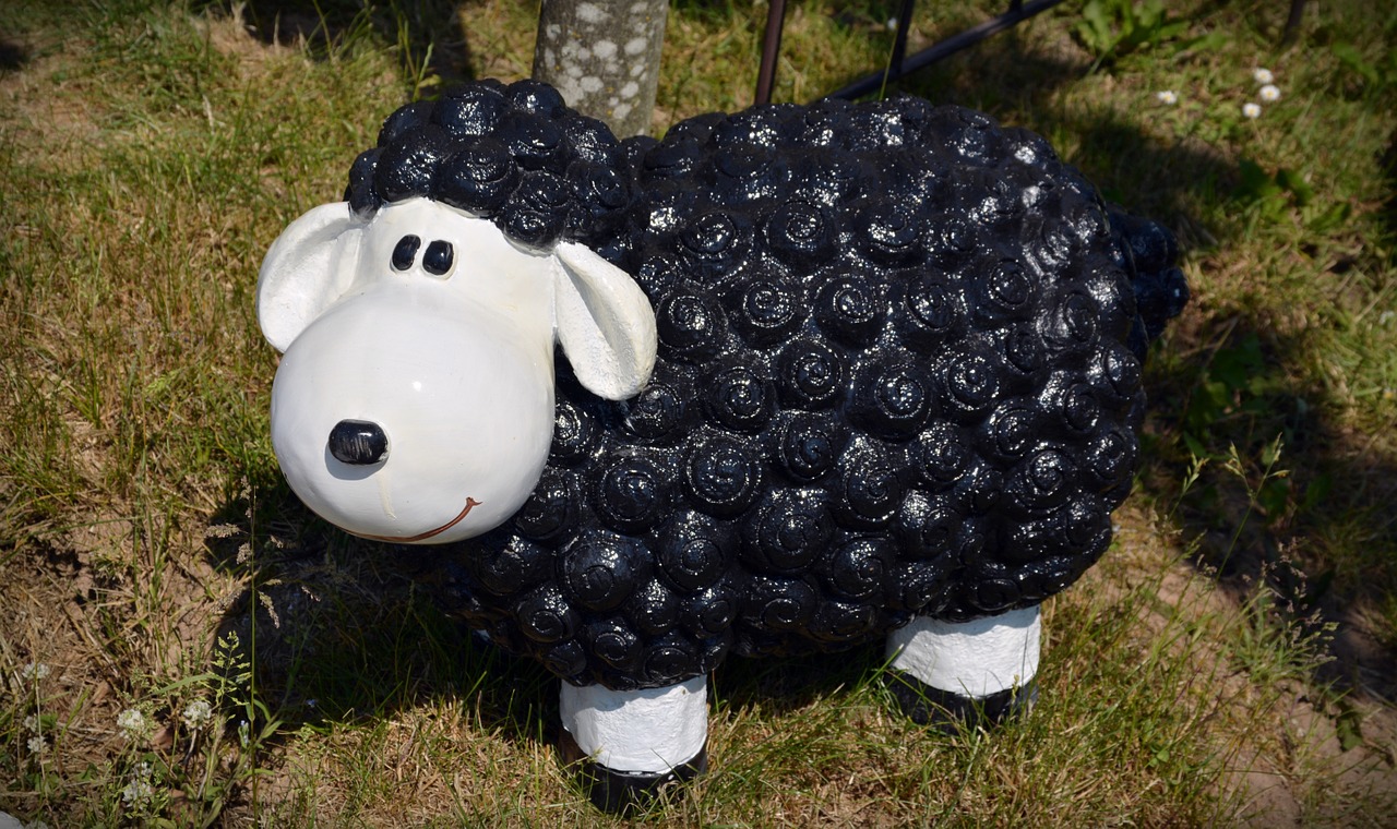 black sheep decoration funny free photo