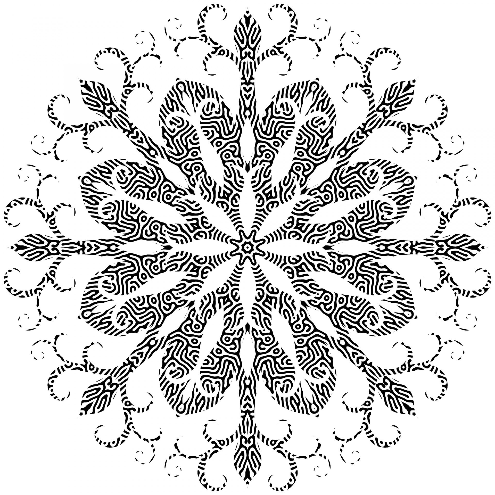 black filigree holiday free photo