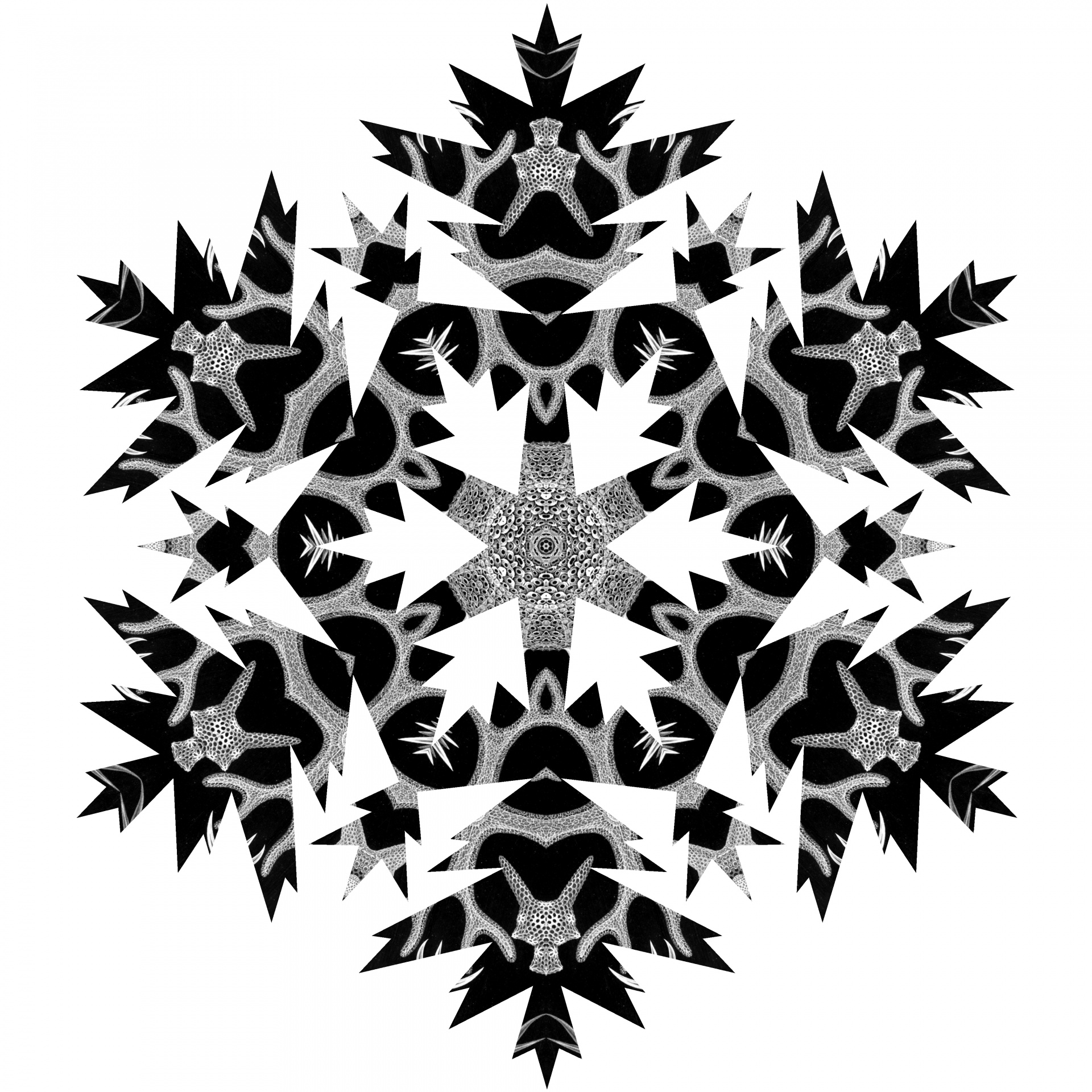 black snowflake line free photo