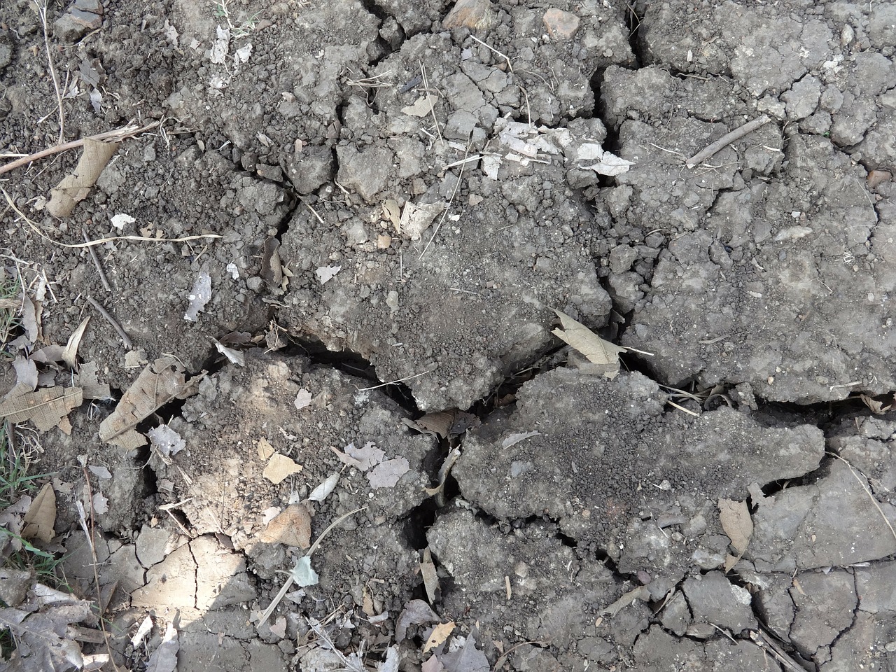 black soil dry dried free photo