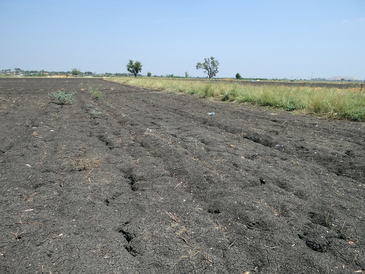 black soil regur tropical chernozem free photo