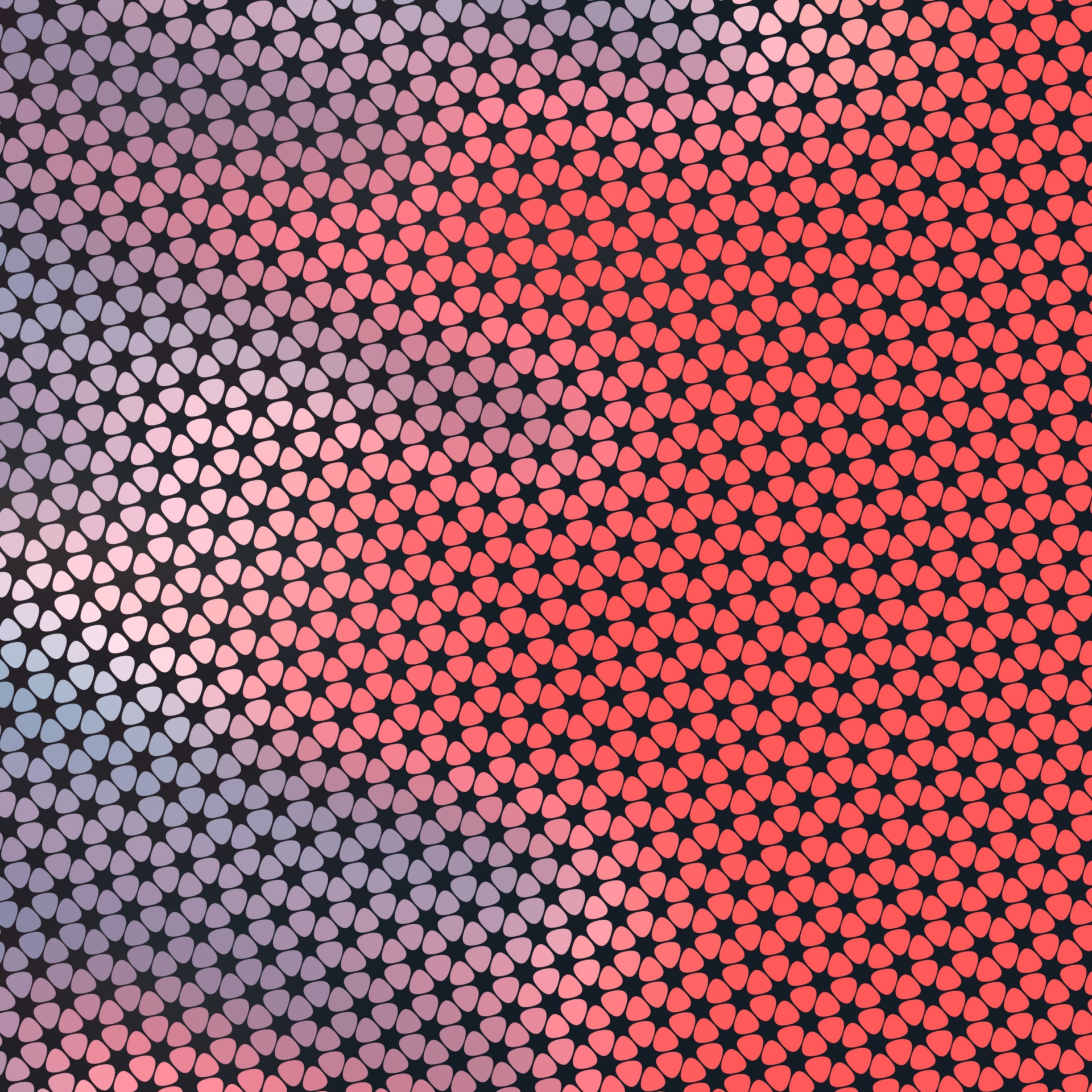 black grid wallpaper free photo