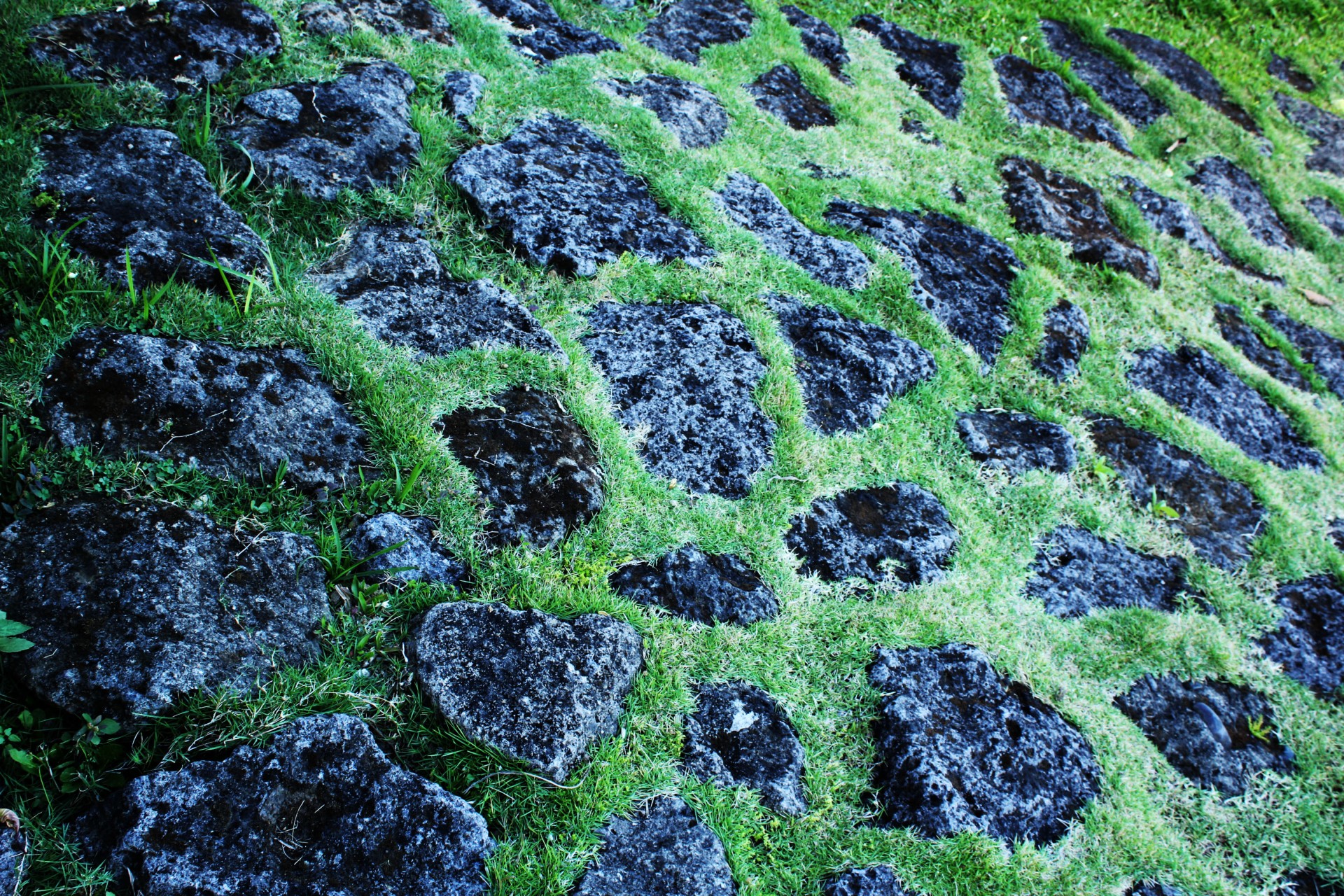black stone and grass pattern pattern path free photo