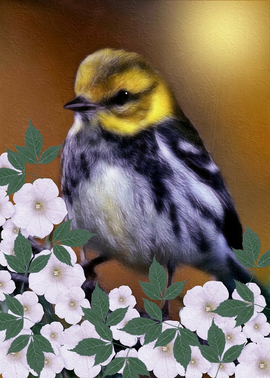 black-throated green warbler dendroica virensdigital digital painting free photo