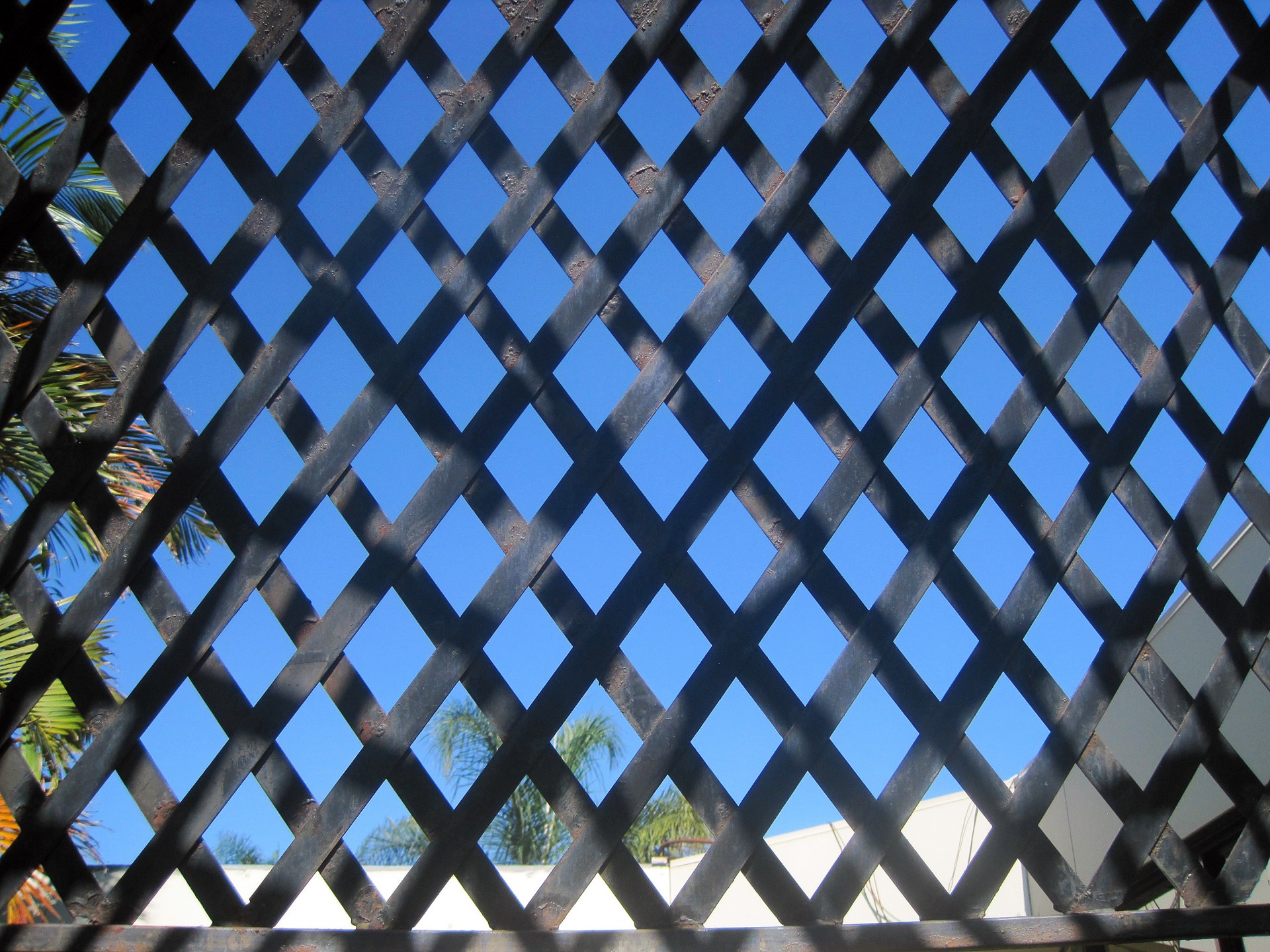 trellis grid diamond free photo