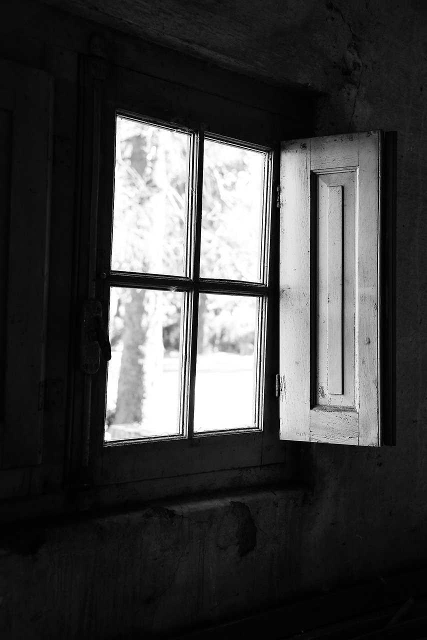 black white window old free photo