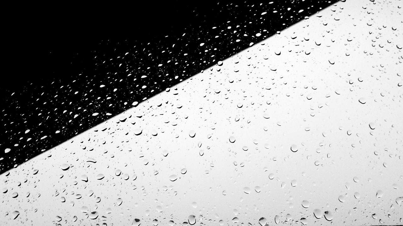 black white minimal minimalist free photo