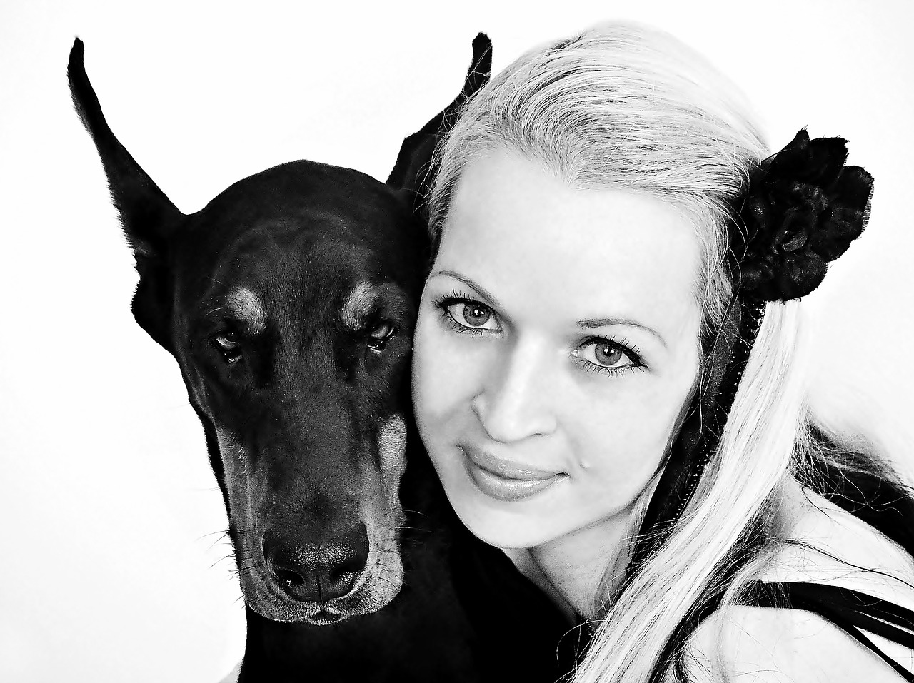 black white doberman blonde girl free photo