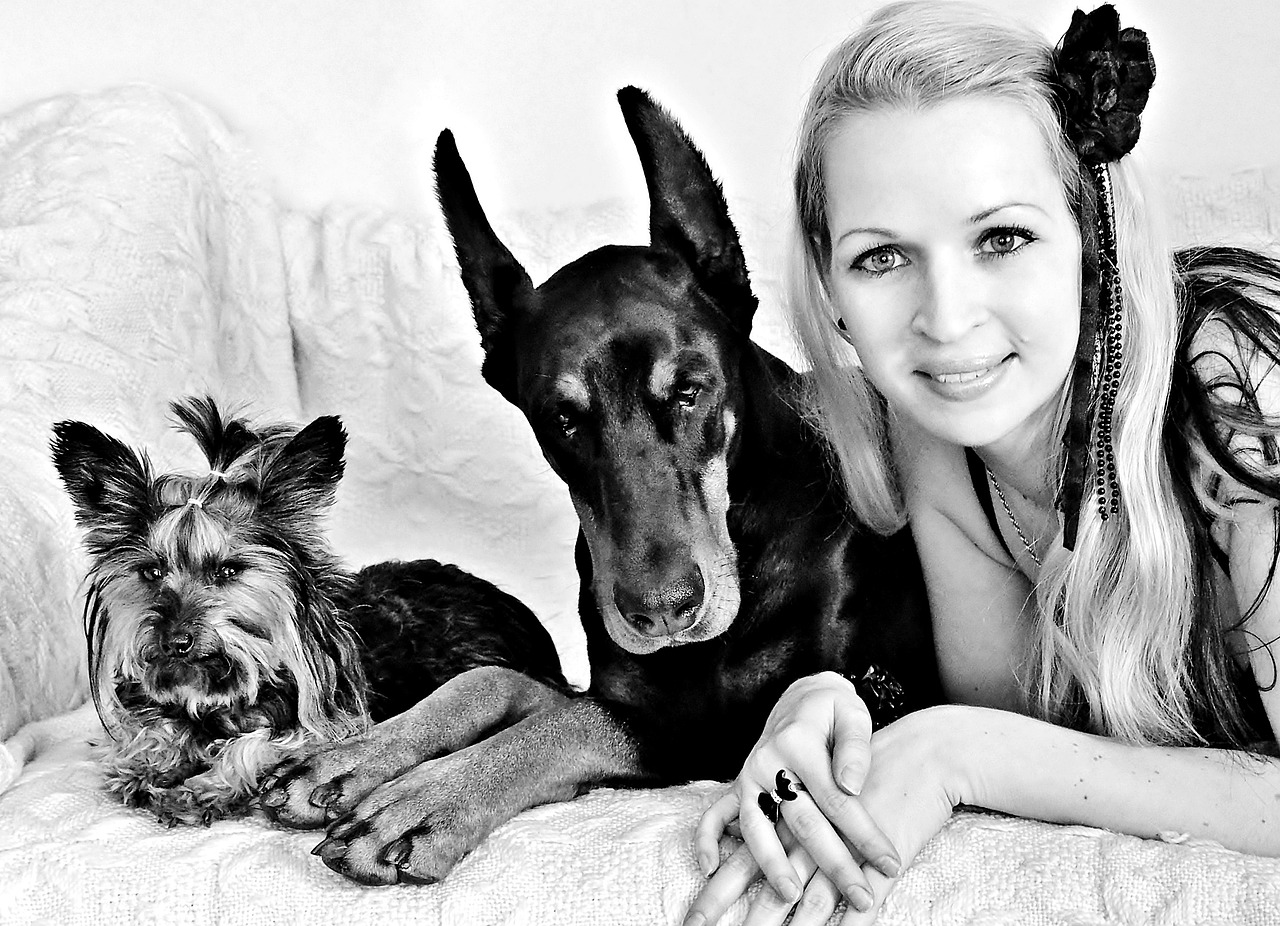 black white blonde woman doberman free photo