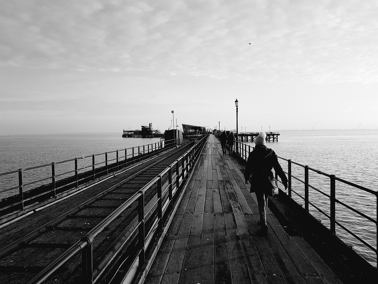 black white pier sea free photo