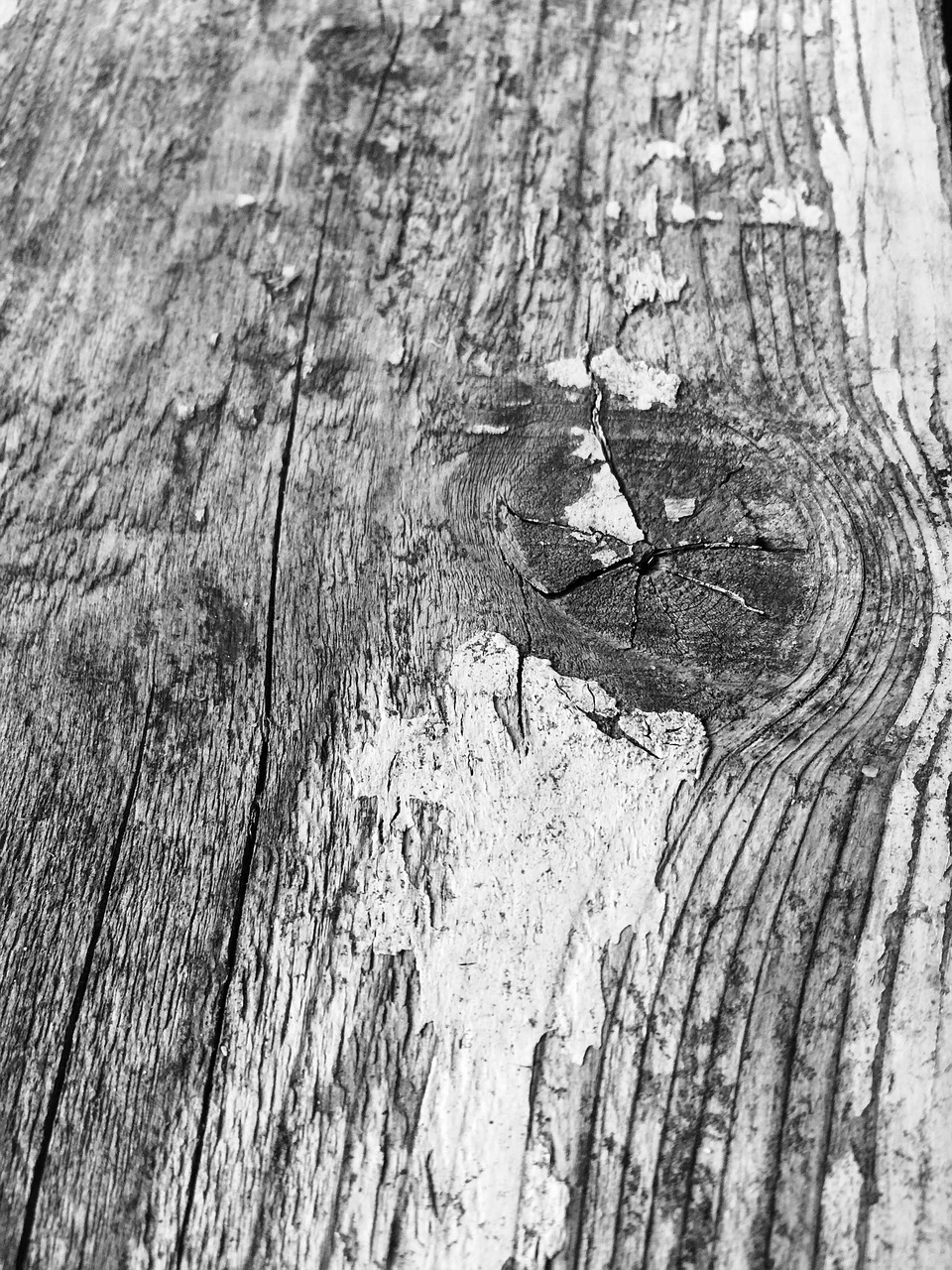 black white wood plank aged wood free photo