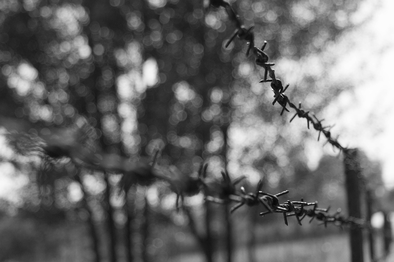 black white  barbed wire  fence free photo