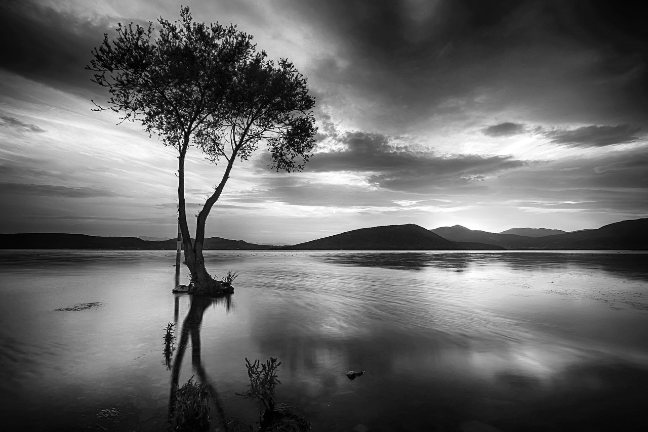 black white  lake  landscape free photo