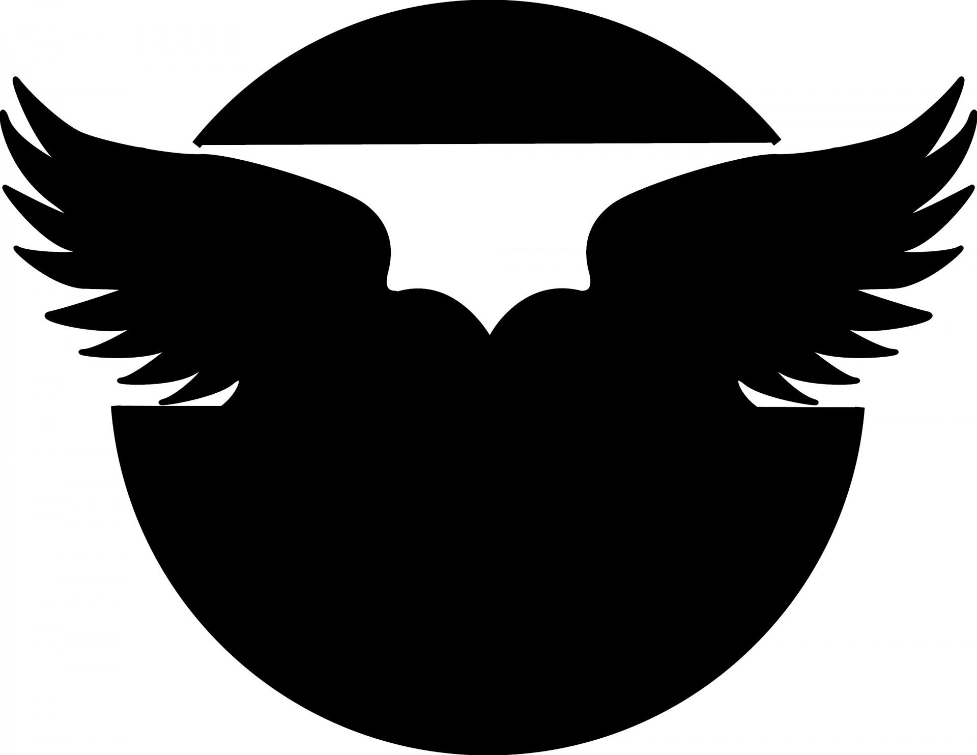 silhouette black wings free photo