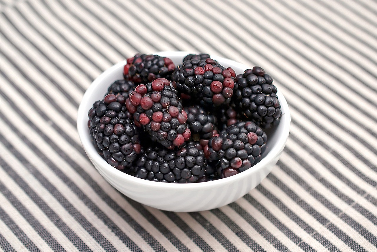 blackberries fresh fruit free photo
