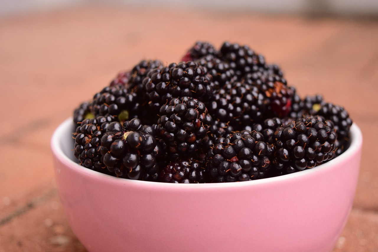 blackberries bowl fruit free photo