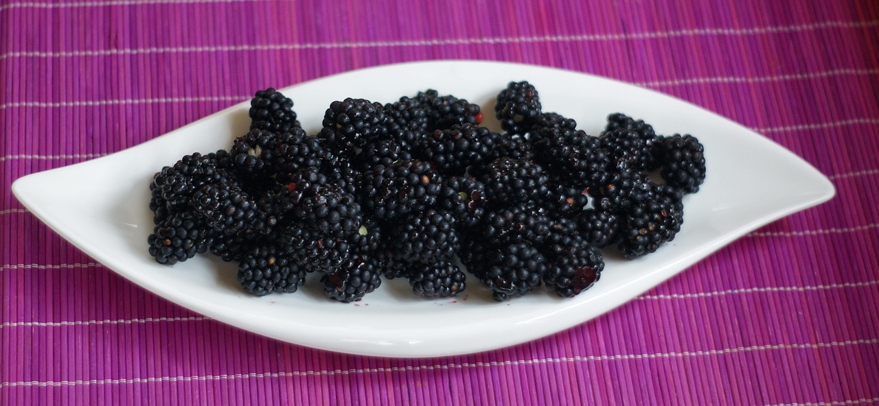 blackberries wild berries berry free photo