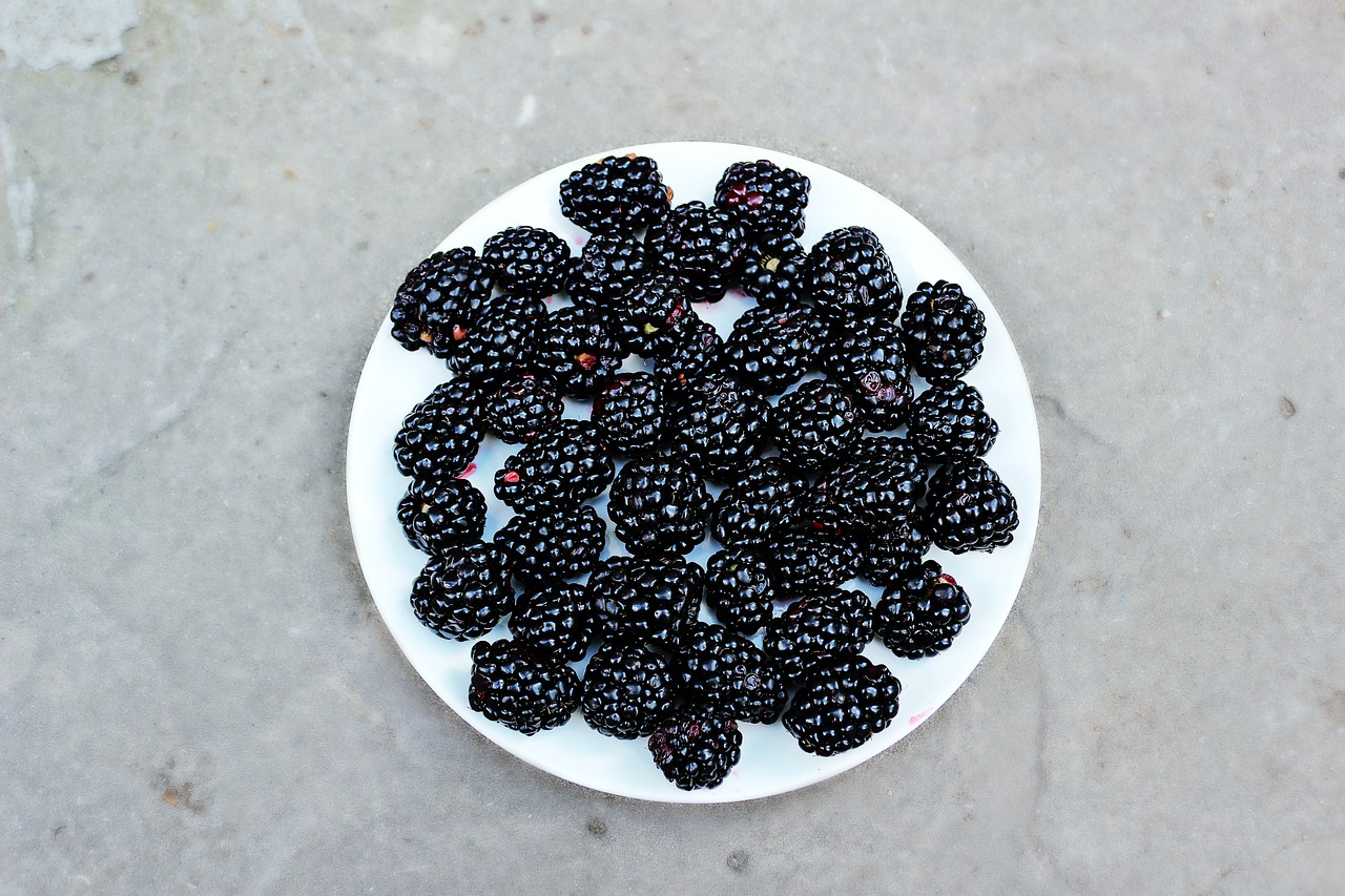 blackberries fruits food free photo