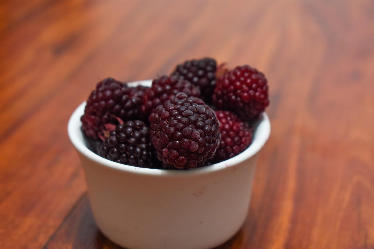 blackberries  fruit  food free photo