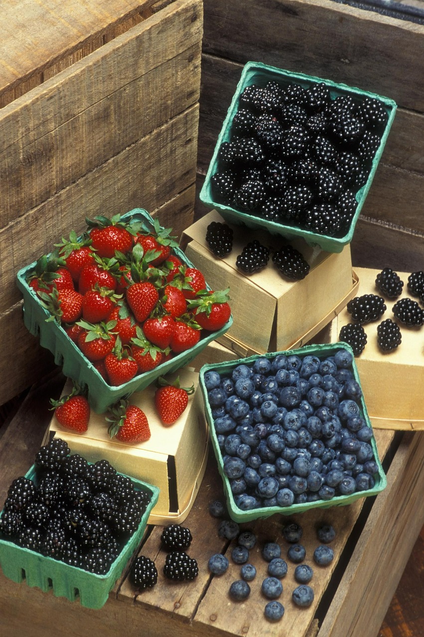 blackberries blueberries strawberries free photo