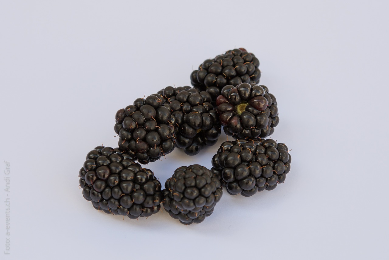 blackberries fruits berries free photo