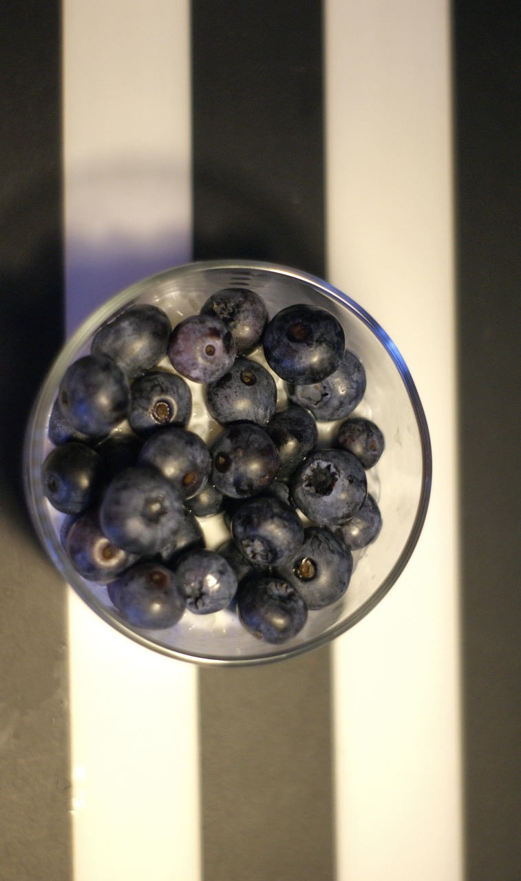 blackberry blueberry healthy free photo