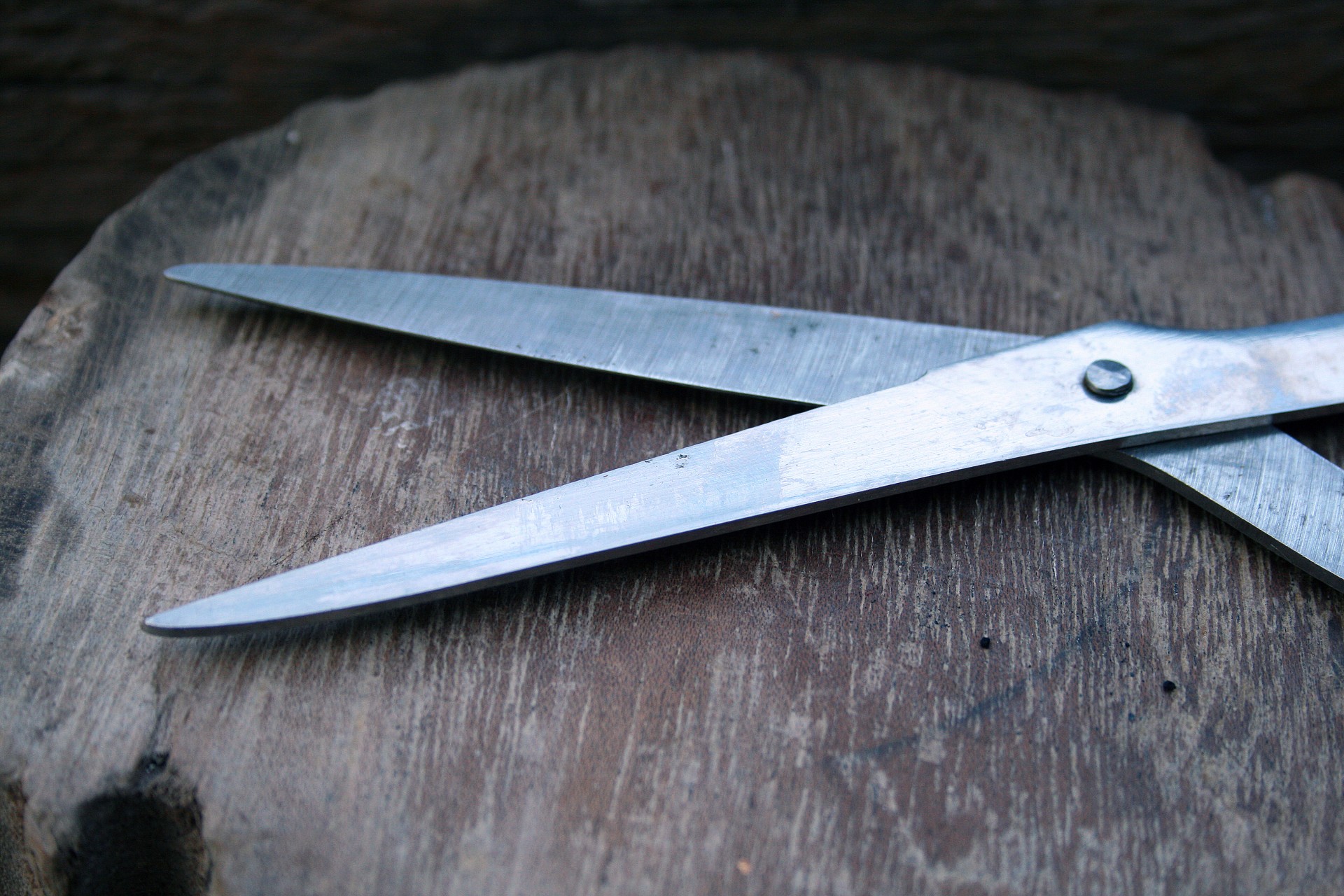 scissors blades cut free photo