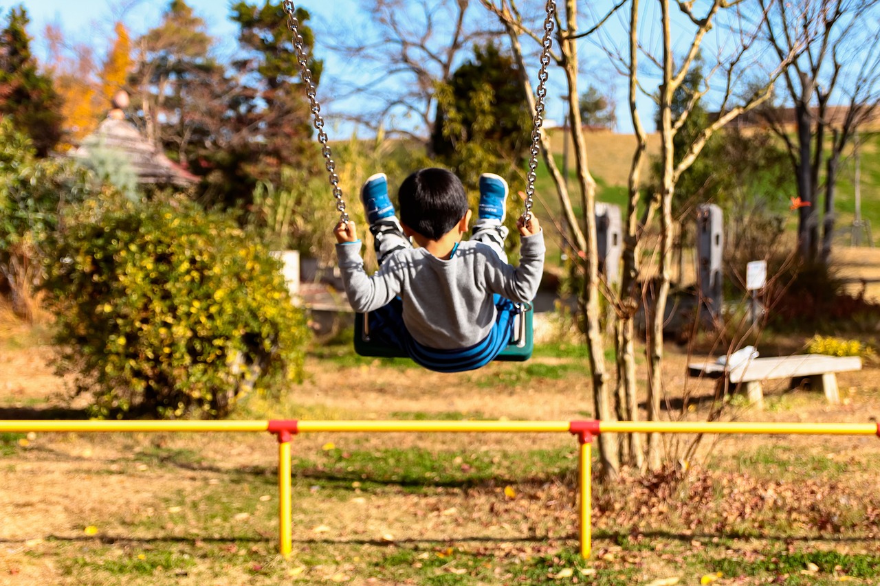 blanco  park  swing free photo