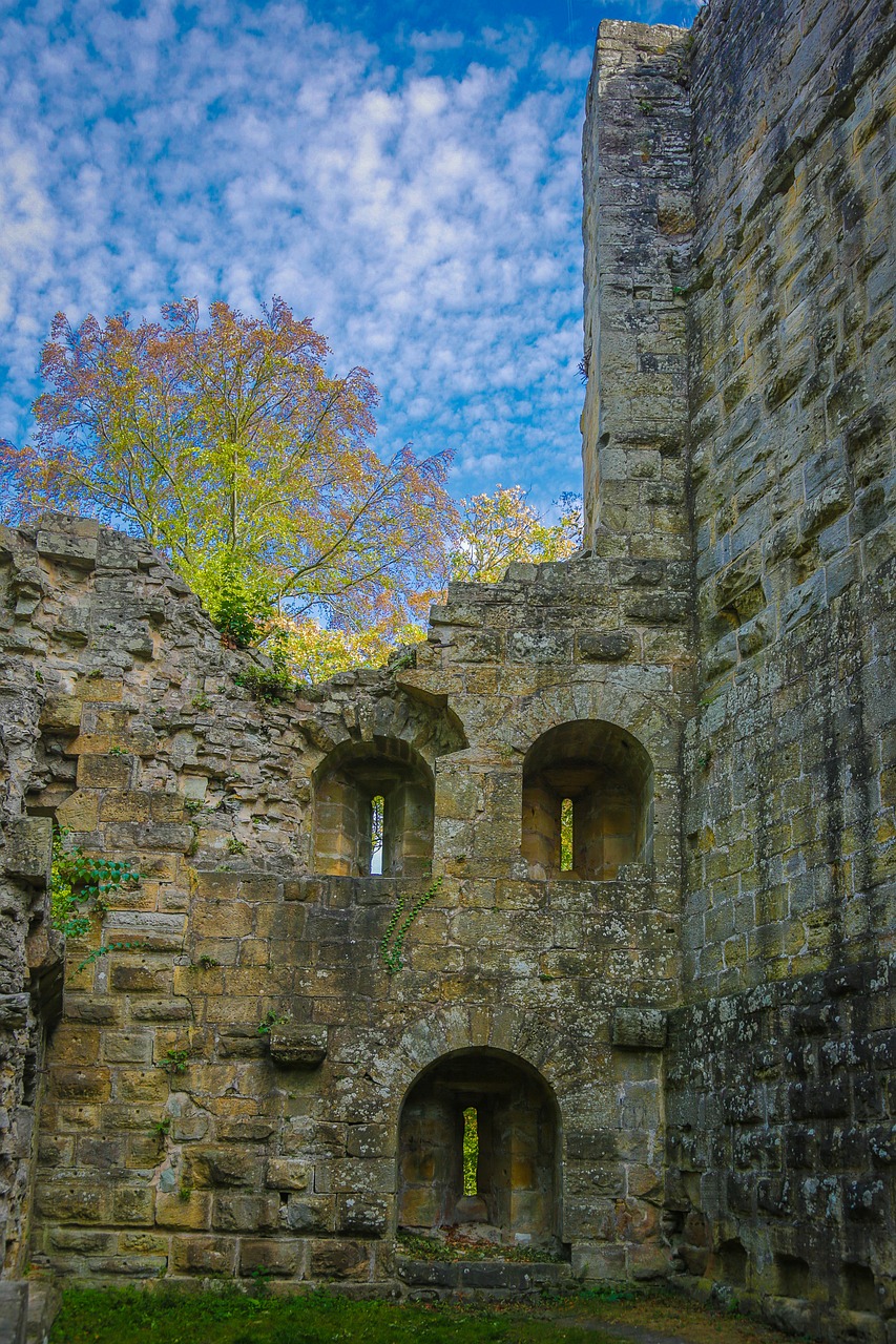 blankenhorn  burgruine  castle free photo