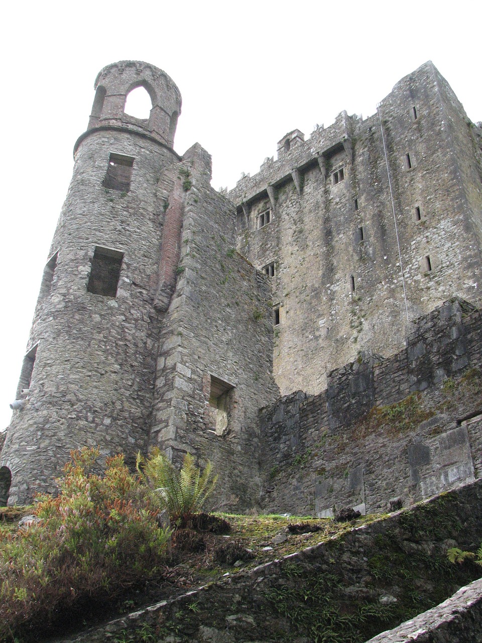 blarney castle ireland cork free photo