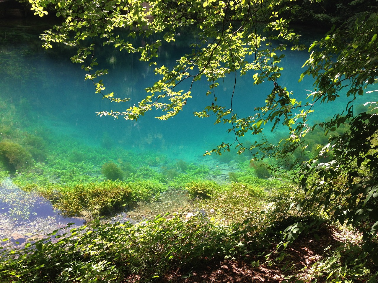 blautopf blaubeuren source free photo