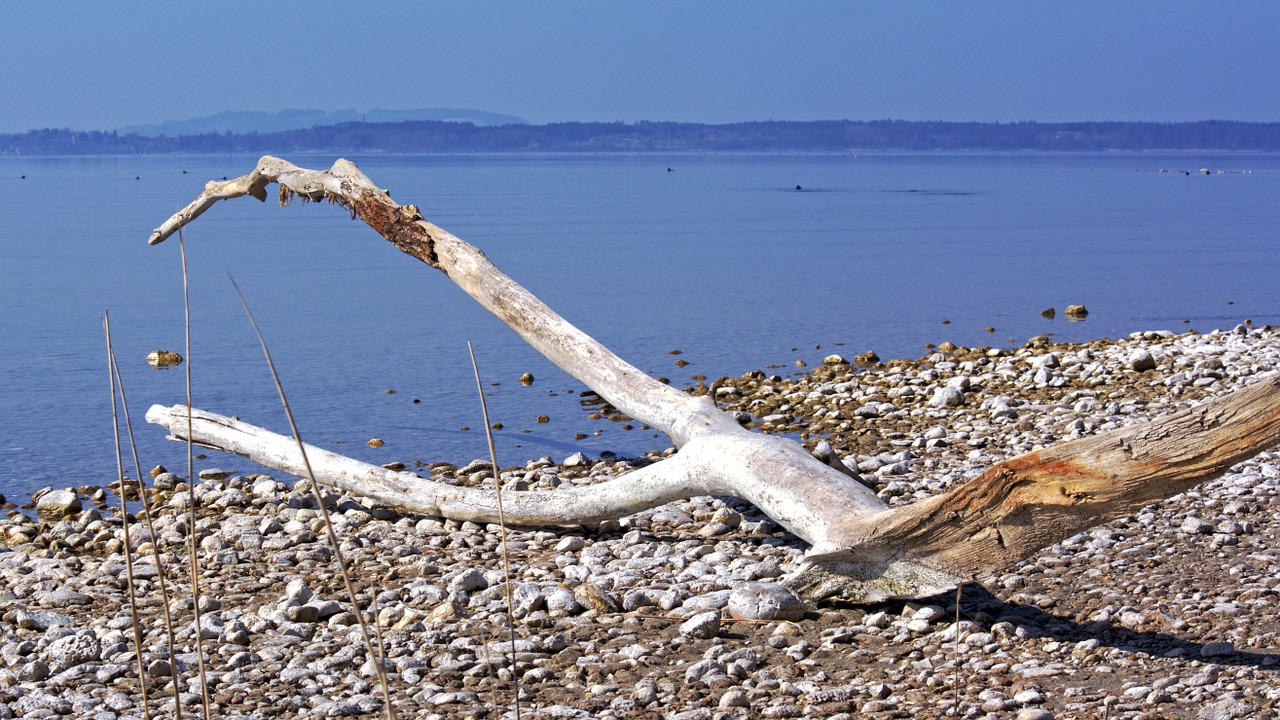 bleak lonely flotsam free photo