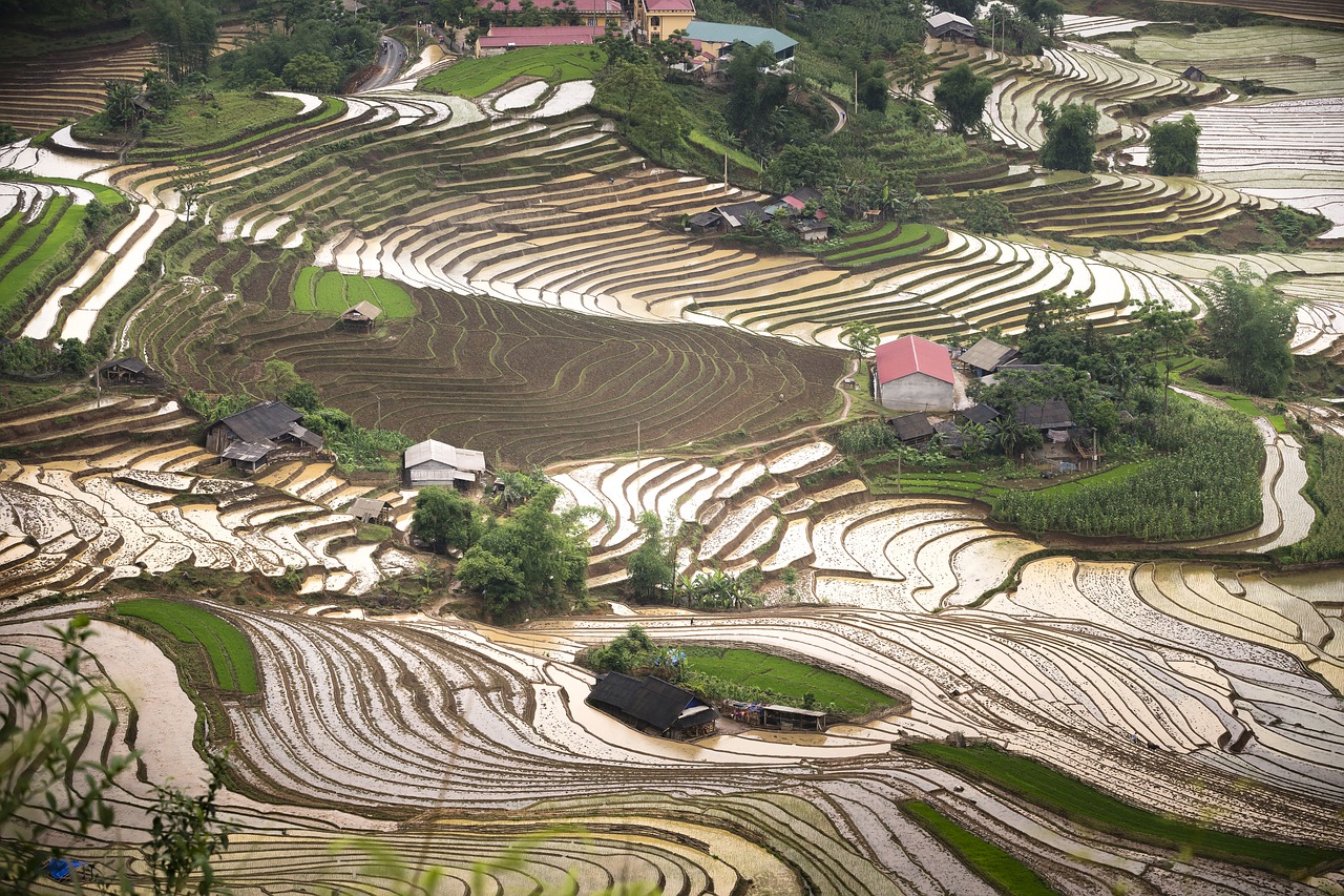 blind stretch comb  lao cai  water free photo