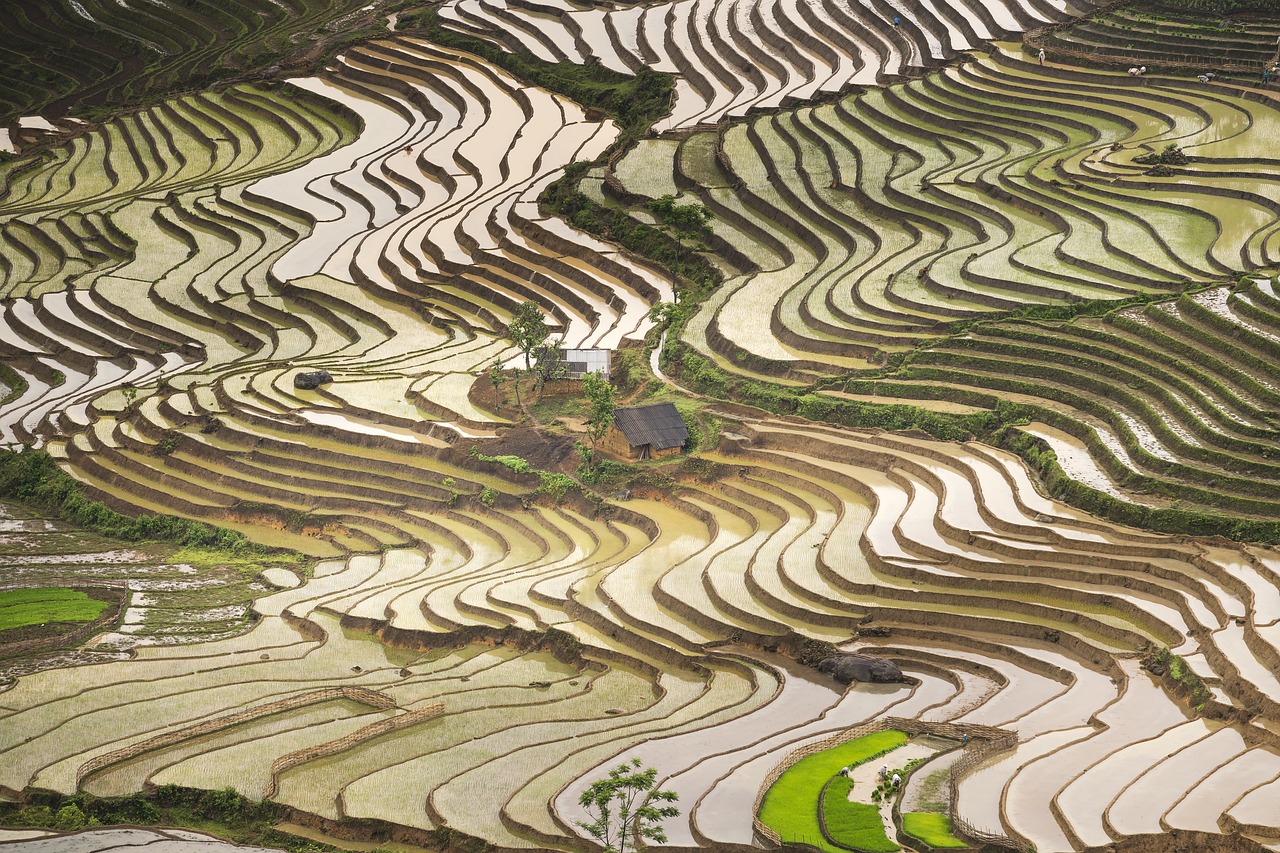 blind stretch comb  lao cai  water free photo